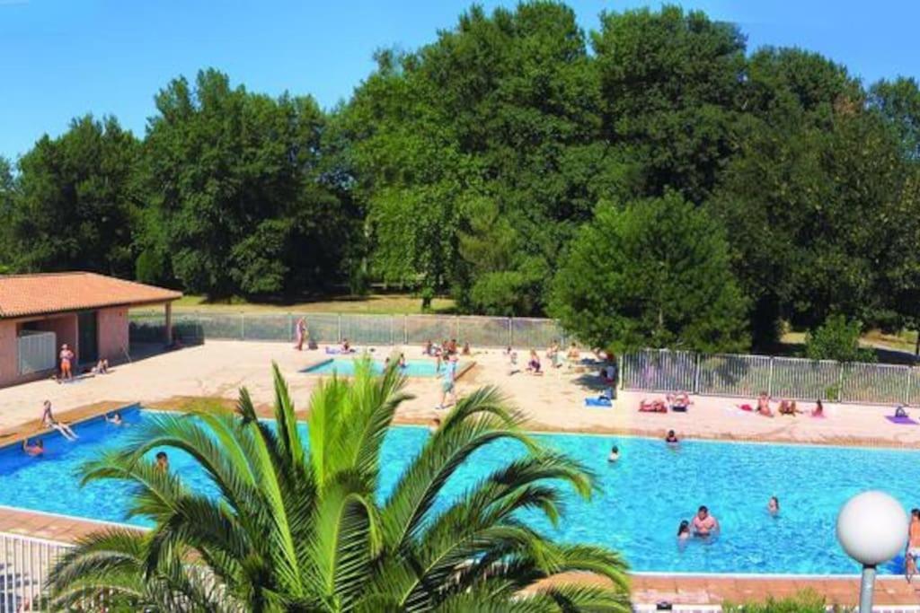 Appartement F2 41M2 Saint-Cyprien  Bagian luar foto